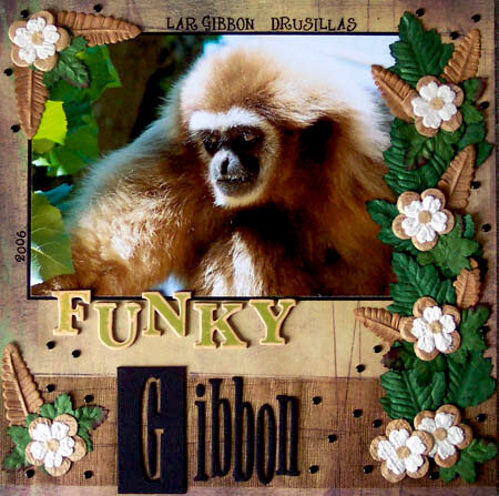 Funky Gibbon