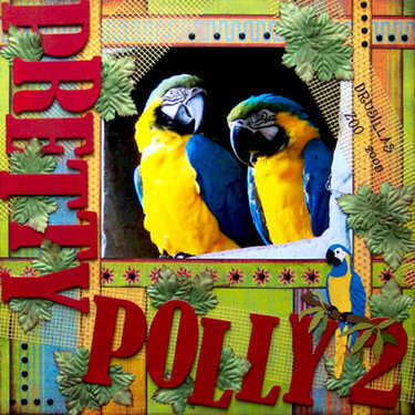 Pretty Polly 2