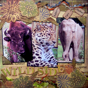 A Walk On The Wild Side RHS