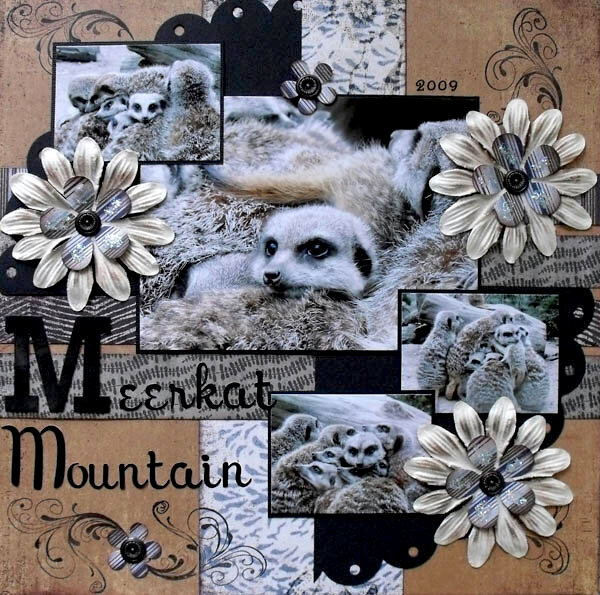 Meerkat Mountain