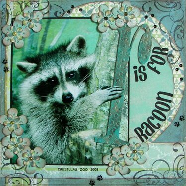 R is for Racoon