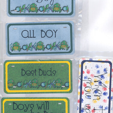 Boy license plate swap