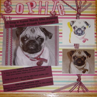 Sophie - Layout 1