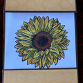 Sunflower card outside