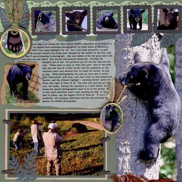 Visiting the Bears Right