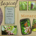 Magical Monarchs