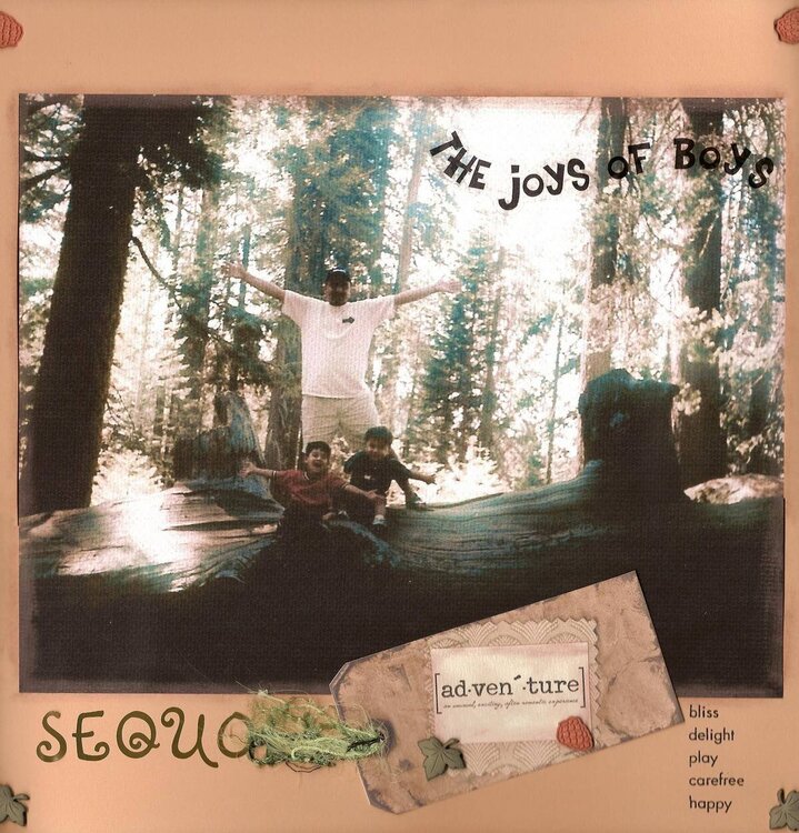 Sequoia Adventure