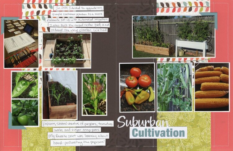 Vol 21 Pg 19-20 Suburban Cultivation