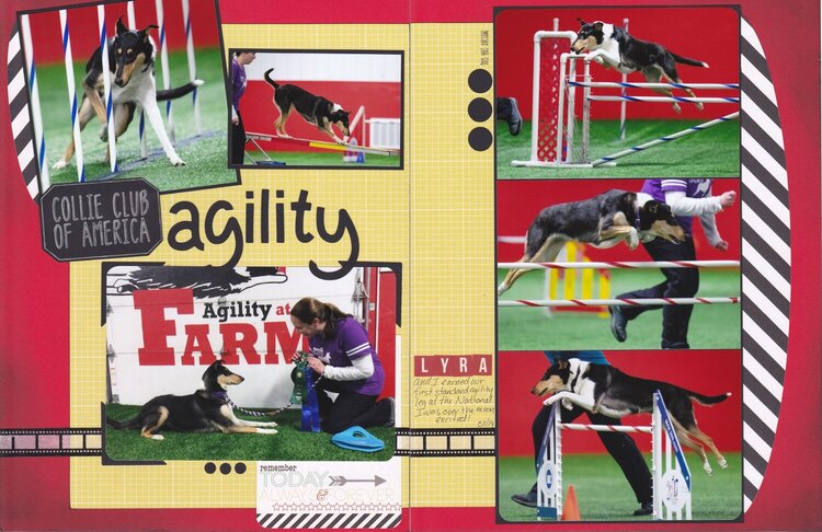 Vol 20 Pg23-24 CCA National Agility