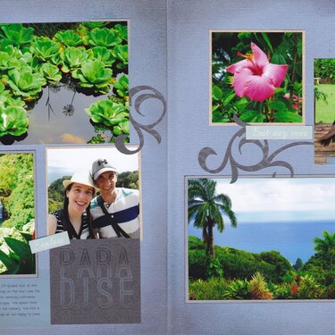 Vol 19 Pg13-14 Maui Trip &#039;16 #4