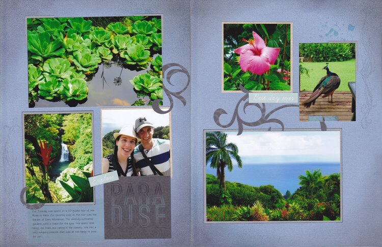 Vol 19 Pg13-14 Maui Trip &#039;16 #4