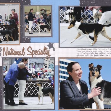 Vol 20 Pg25-26 CCA National Specialty