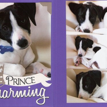 Vol11 Pg11-12 Prince Charming