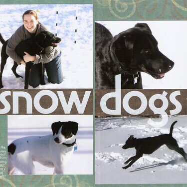 Vol 12 Pg 13-14 Snow Dogs