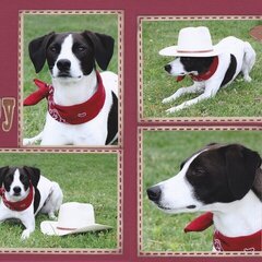 Vol13 Pg 15-16 The Cowboy