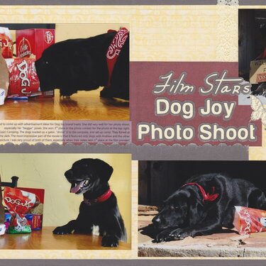 Vol 14 Pg 23-24 Dog Joy Photo Shoot