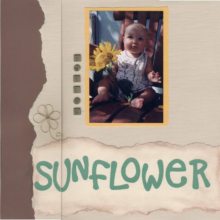 Emilys Sunflower 1
