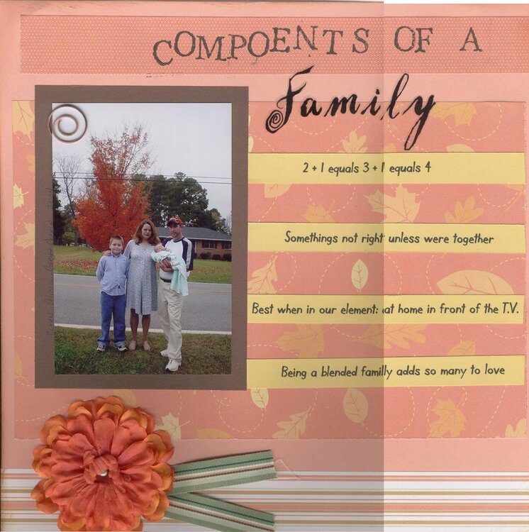 Compoents of a family
