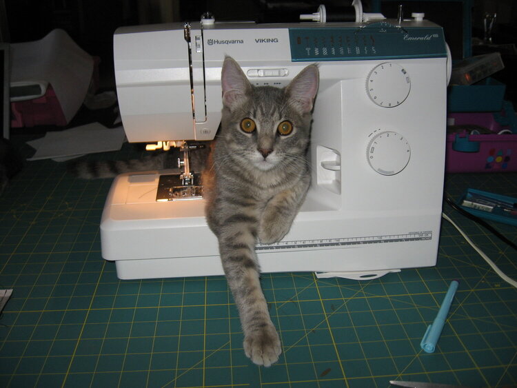 There seems to be something stuck in my sewing machine.