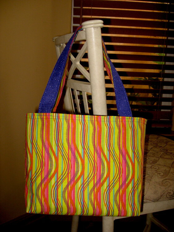 Striped and Purple Bag