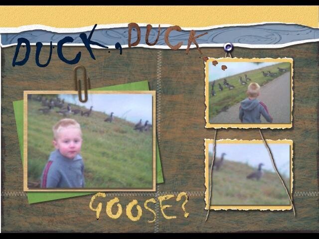 Duck, Duck,Goose