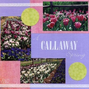 A Callaway Spring