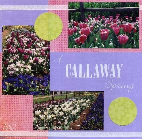 A Callaway Spring