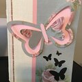 Butterflies card