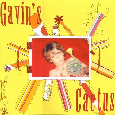 Gavin&#039;s cactus