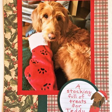 Christmas Stocking for Teddy