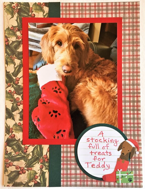 Christmas Stocking for Teddy