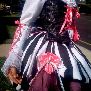 Pirate Princess Costume