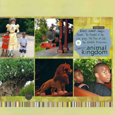 Disney&#039;s Animal Kingdom