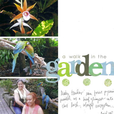 A Walk in the Garden