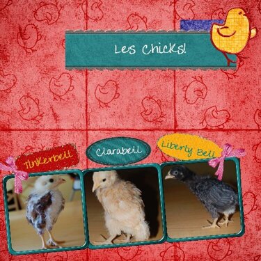Les Chicks!