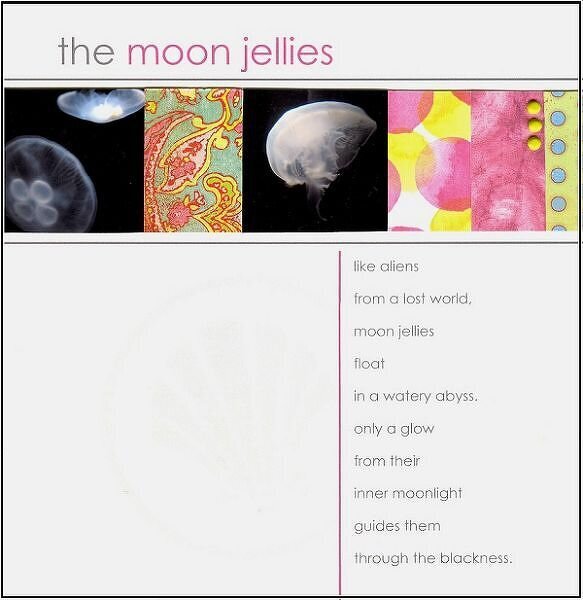 The Moon Jellies (for Pub Ad Challenge)