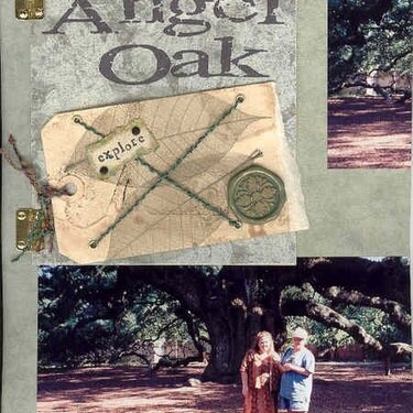 Angel Oak (w/7gypsies tag)