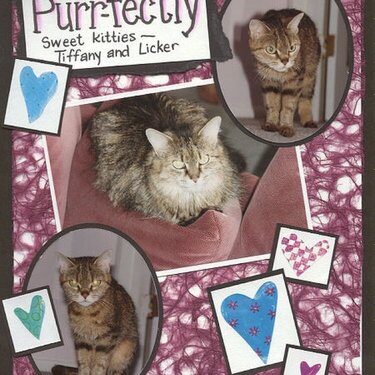 Purr-fectly Sweet Kitties