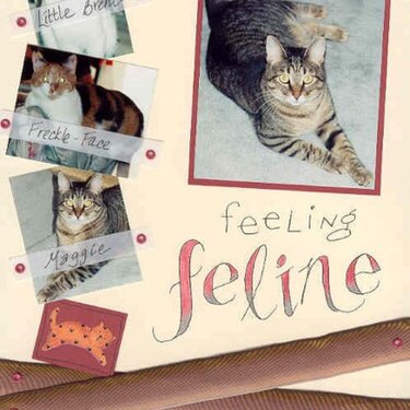 Feeling Feline