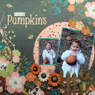 Picking Pumpkins