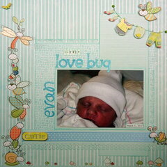 Little Love Bug (Evan)