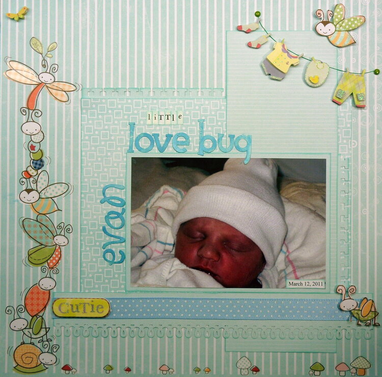 Little Love Bug (Evan)