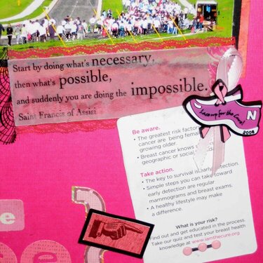 Race For The Cure &#039;08 (info)