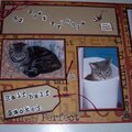 My Cats page 1