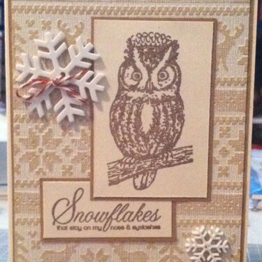 2014 Monochromatic Owl Card