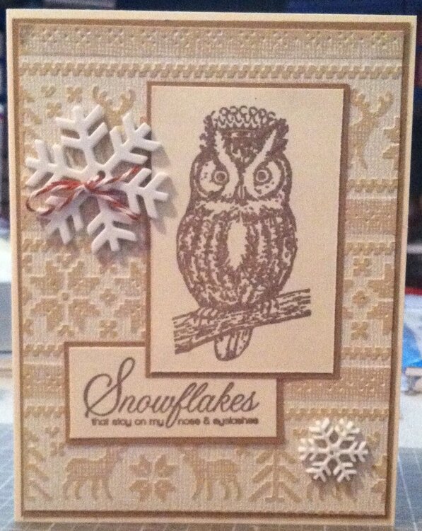 2014 Monochromatic Owl Card