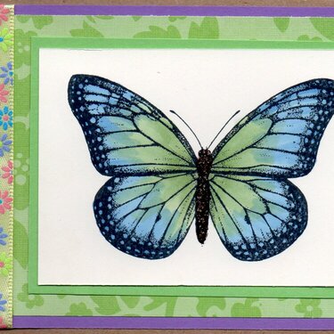 Butterfly Card 3