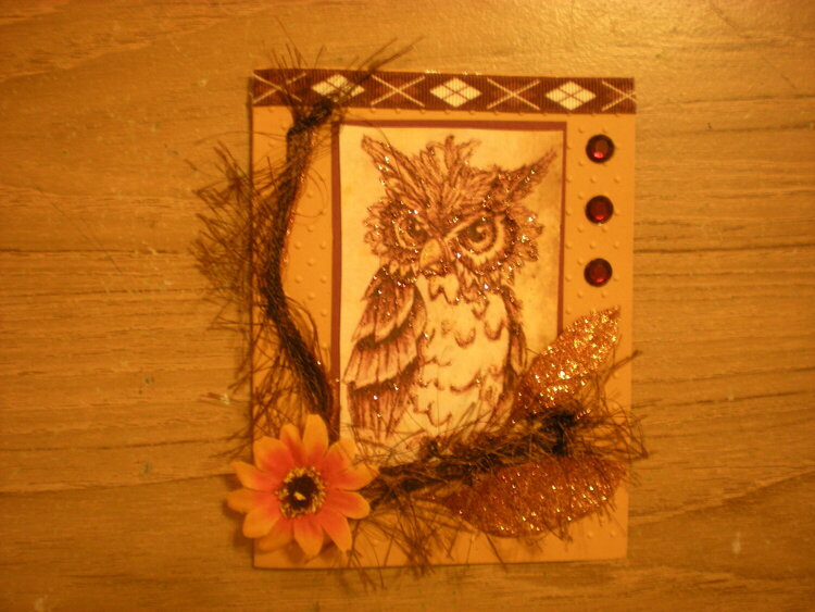 Marticia&#039;s card swap Owl 3