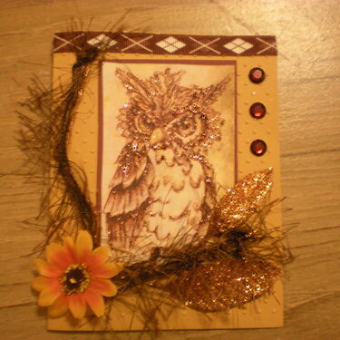 Martica&#039;s card swap Owl 5