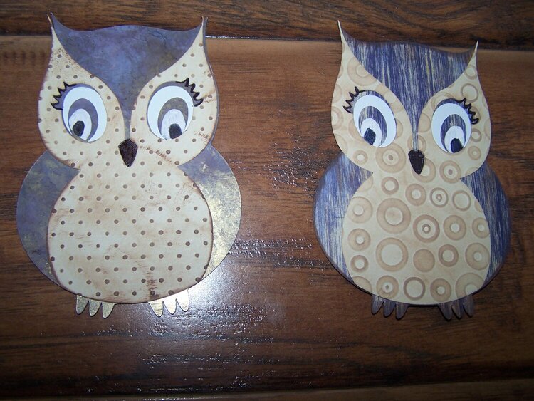 Owls for Tuki!